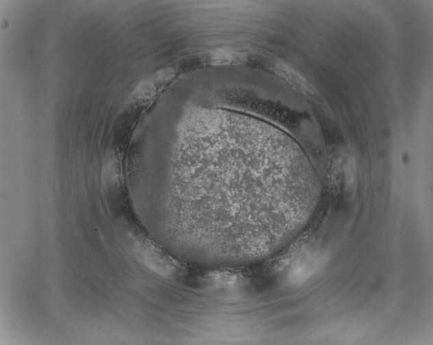 X0000067870272200604201225