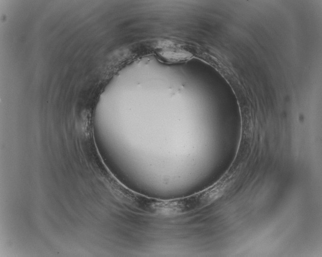 X0000067870273200604201225