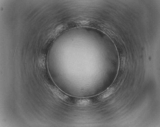 X0000067870274200604201225