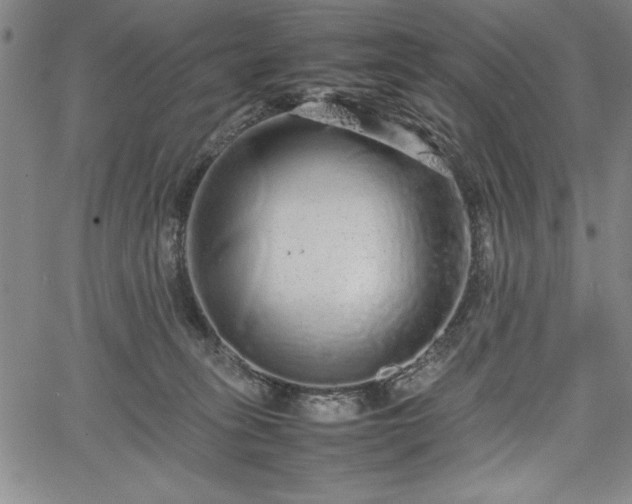 X0000067870275200604201225