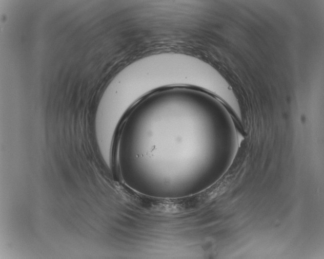 X0000067870276200604201226