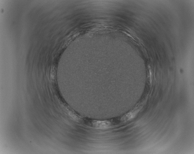 X0000067870277200604201226