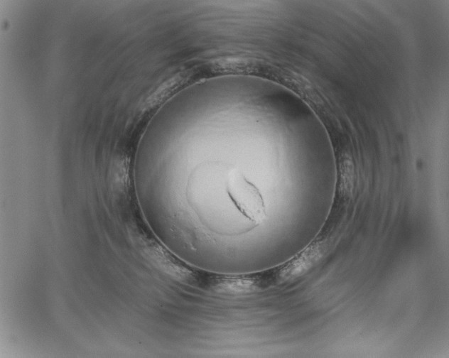 X0000067870278200604201226