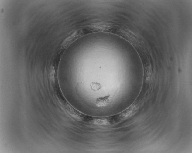 X0000067870279200604201226