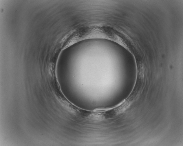 X0000067870280200604201226