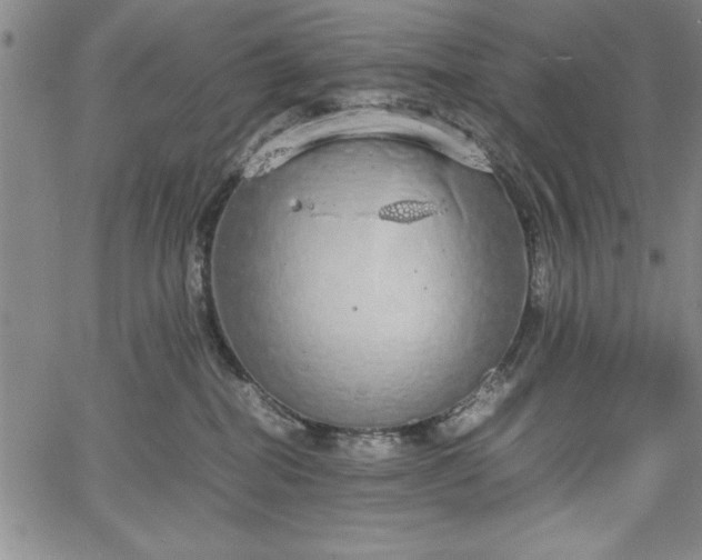 X0000067870282200604201226