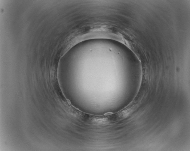 X0000067870283200604201226