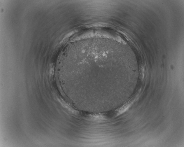 X0000067870284200604201226