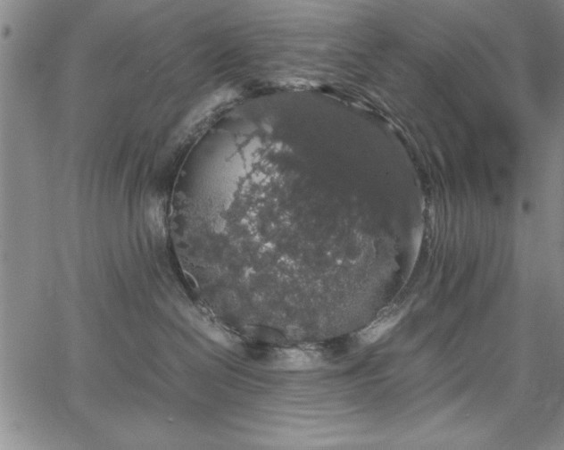 X0000067870286200604201226