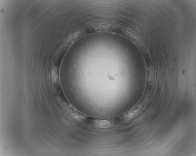 X0000067870287200604201226