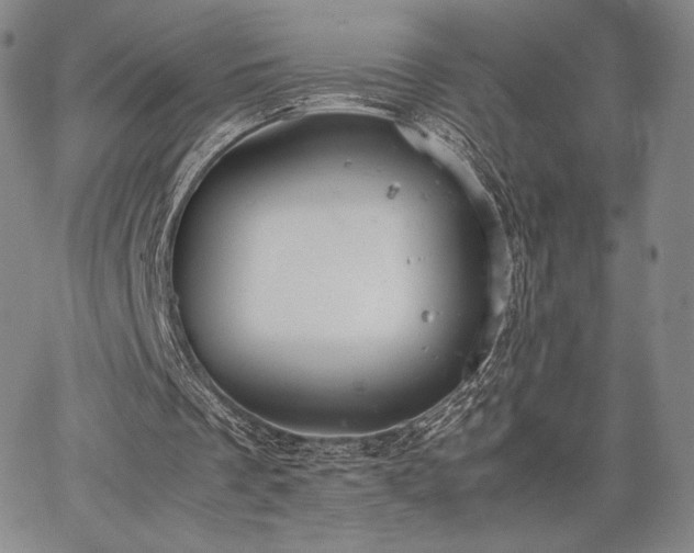 X0000067870289200604201225