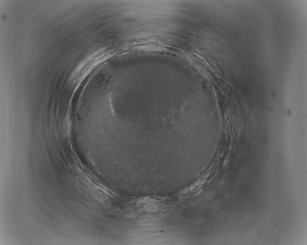 X0000067870290200604201225