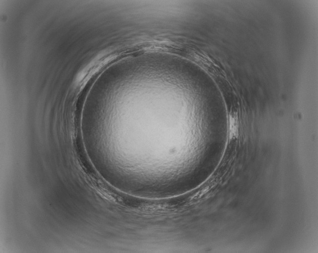 X0000067870291200604201225