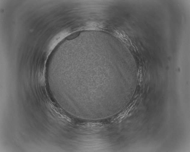 X0000067870292200604201225