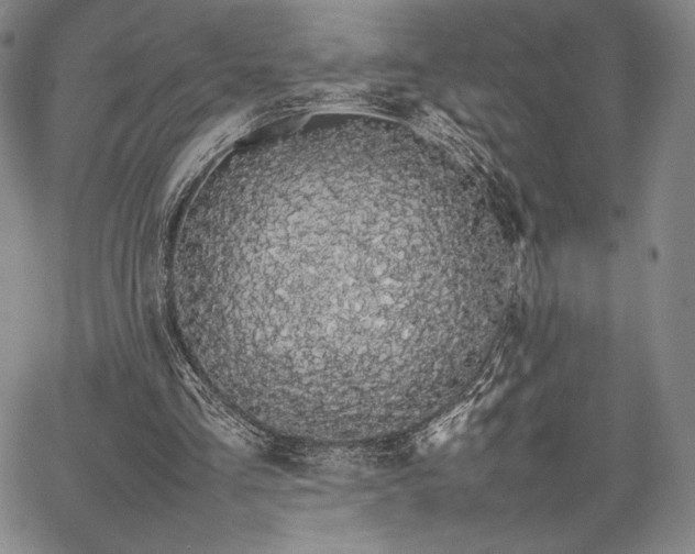 X0000067870293200604201225