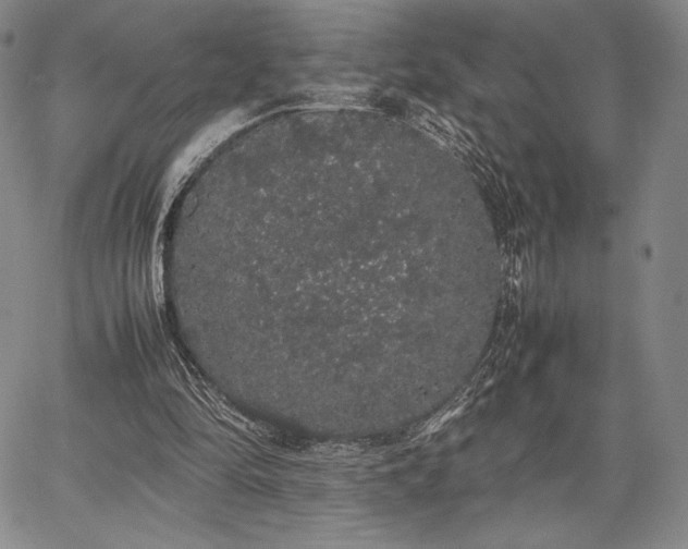 X0000067870294200604201225