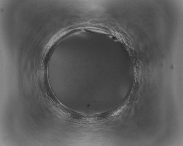 X0000067870295200604201225