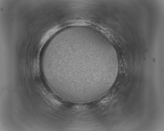 X0000067870296200604201225