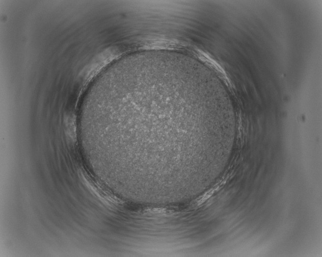 X0000067870298200604201225