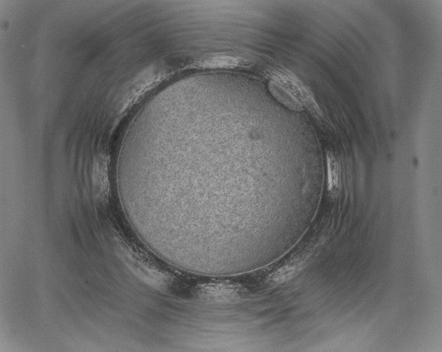 X0000067870300200604201225