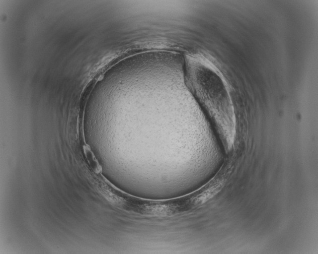 X0000067870301200604201225