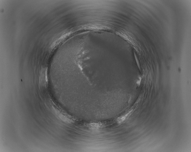 X0000067870302200604201225