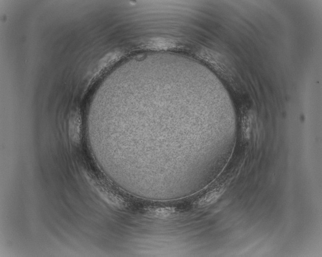 X0000067870304200604201225