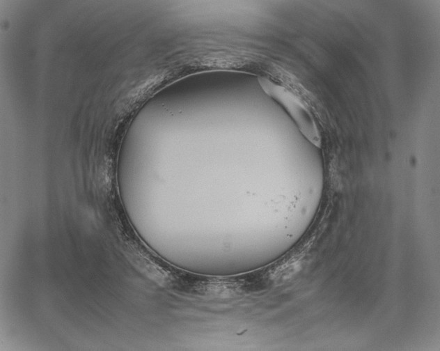 X0000067870305200604201225