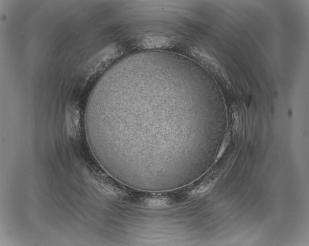 X0000067870308200604201225