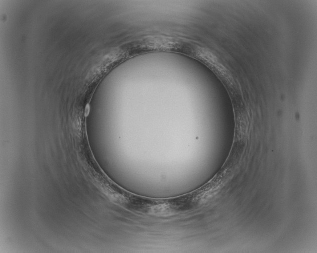 X0000067870309200604201225