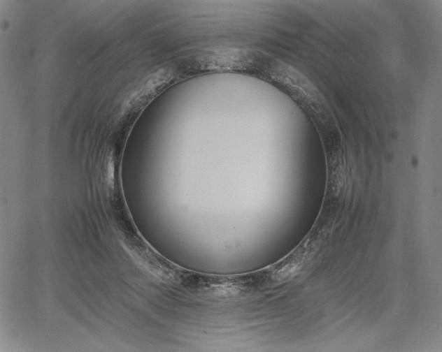 X0000067870310200604201225