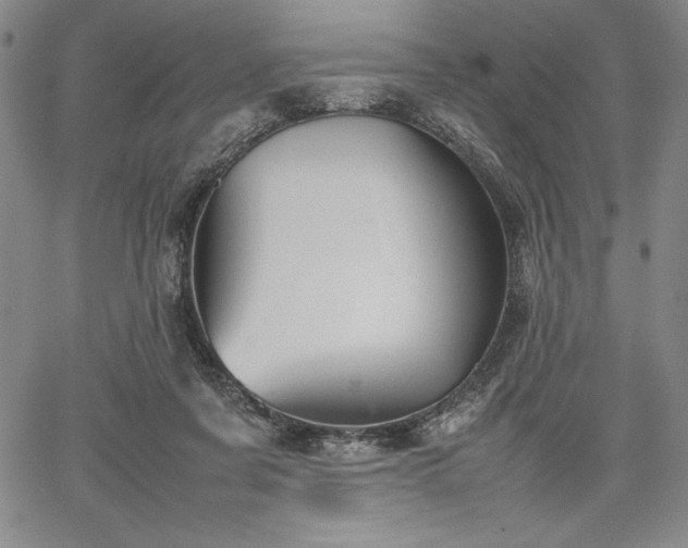 X0000067870311200604201225