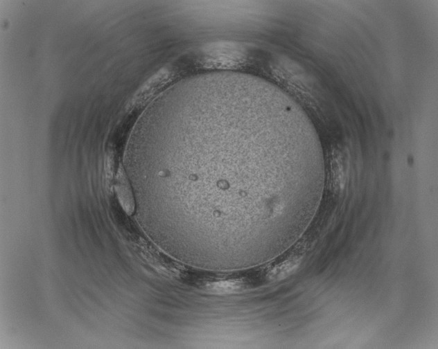 X0000067870312200604201225