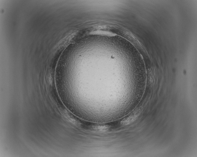 X0000067870313200604201224