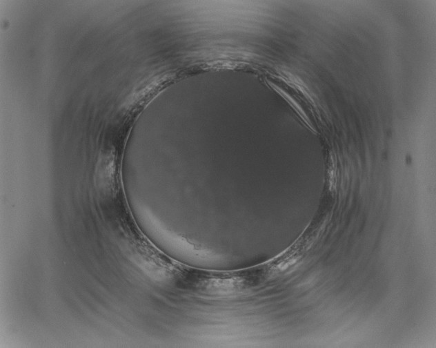 X0000067870314200604201224