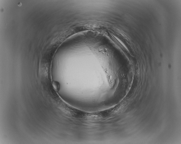 X0000067870315200604201224