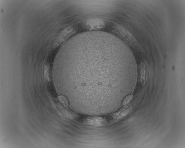 X0000067870316200604201224