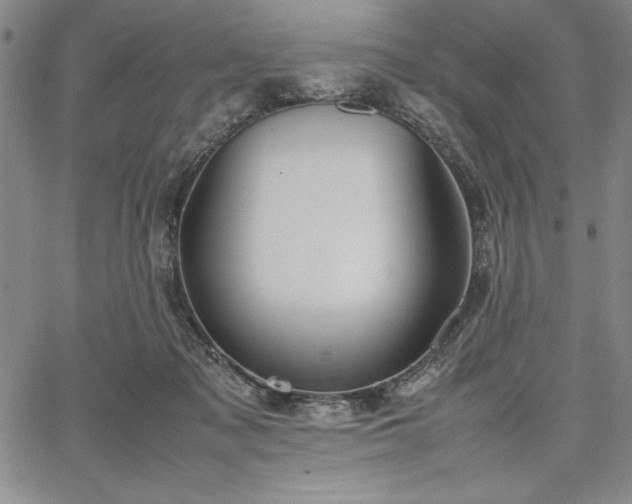 X0000067870317200604201224