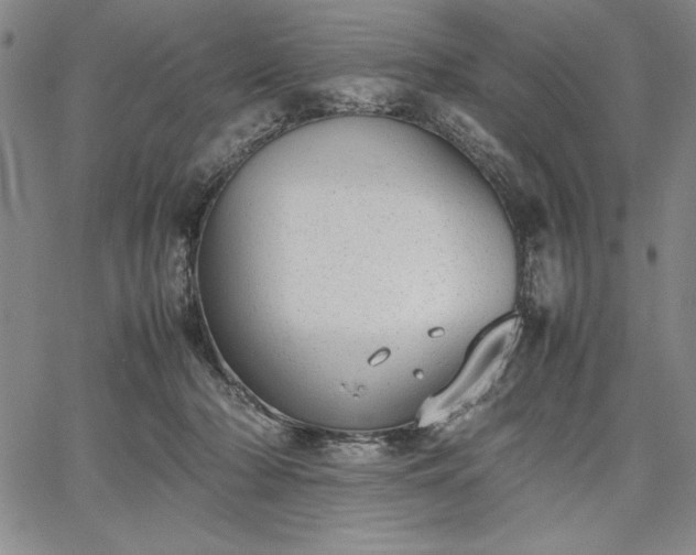 X0000067870318200604201224