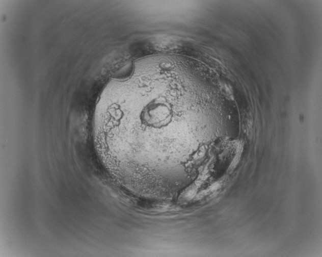 X0000067870319200604201224