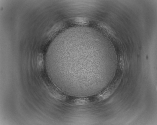 X0000067870320200604201224