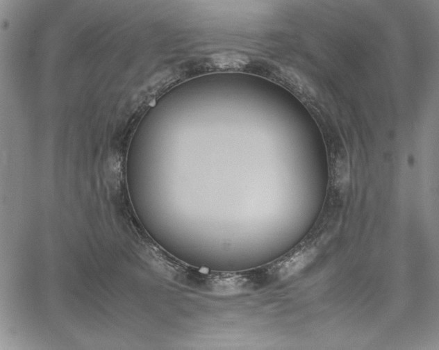 X0000067870321200604201224