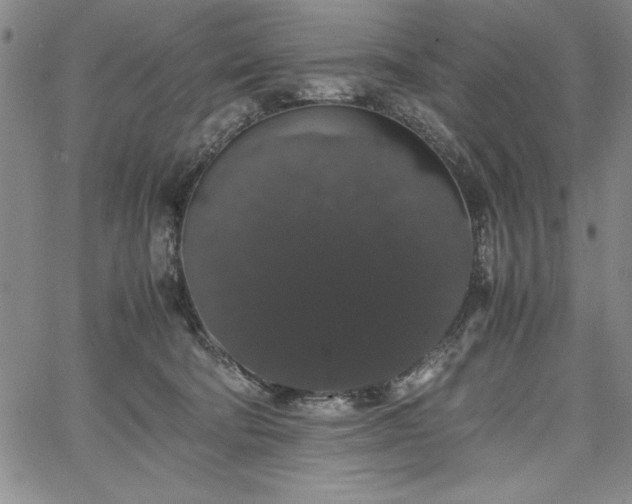 X0000067870322200604201224