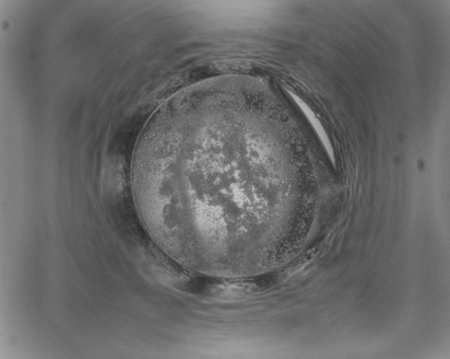 X0000067870323200604201224