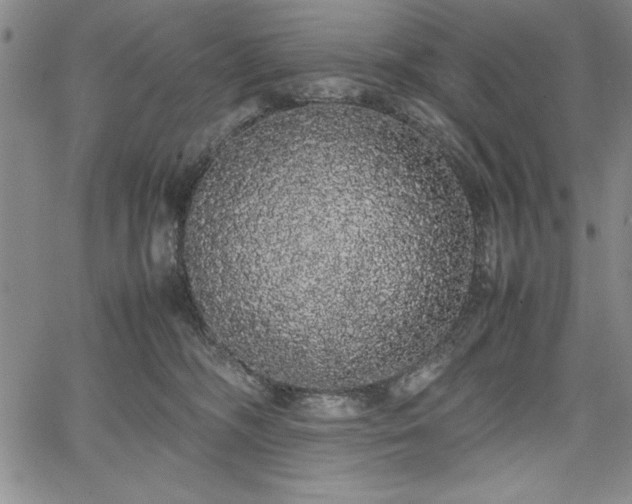 X0000067870326200604201224