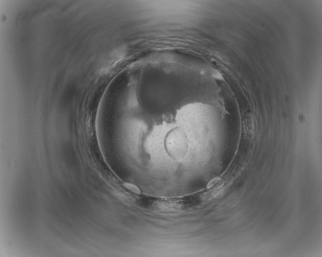 X0000067870327200604201224