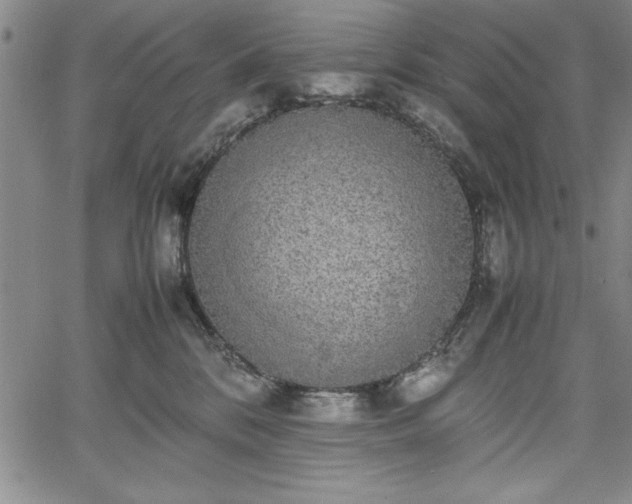 X0000067870328200604201224