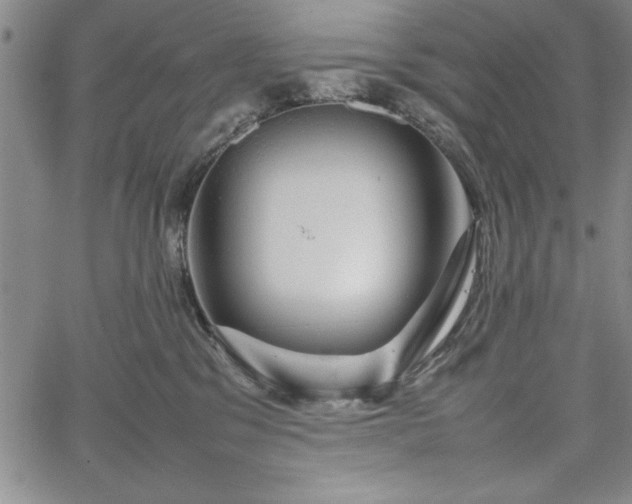 X0000067870329200604201224