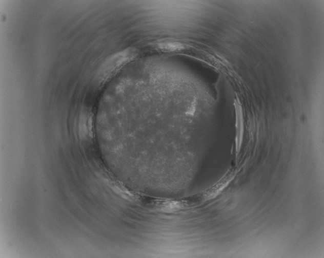 X0000067870330200604201224