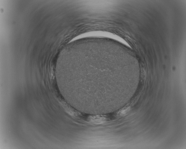 X0000067870331200604201224